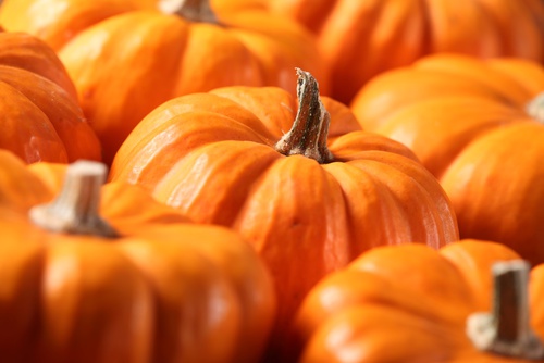 Tips for Weight Loss with… Pumpkins! | hCG Diet | US Health and Fitness Information